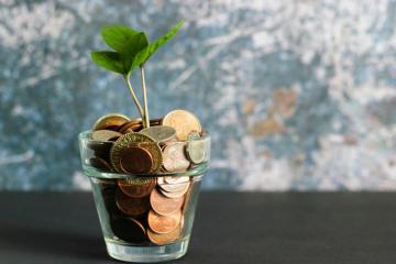 Vrei să ai succes în investiții? Copiază strategia unui fond mutual